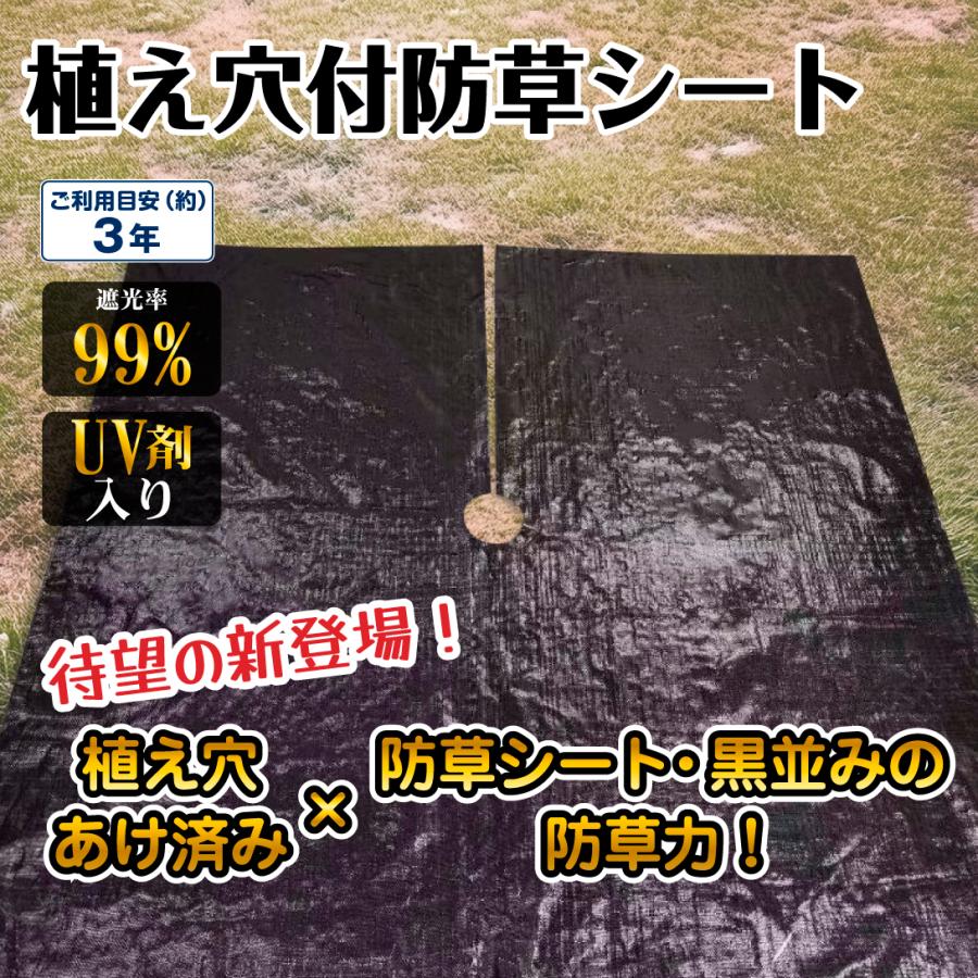 植え穴付防草シート1.2m×1.2m 3枚組 果樹 農園 植え穴付き 切れ目 UV剤