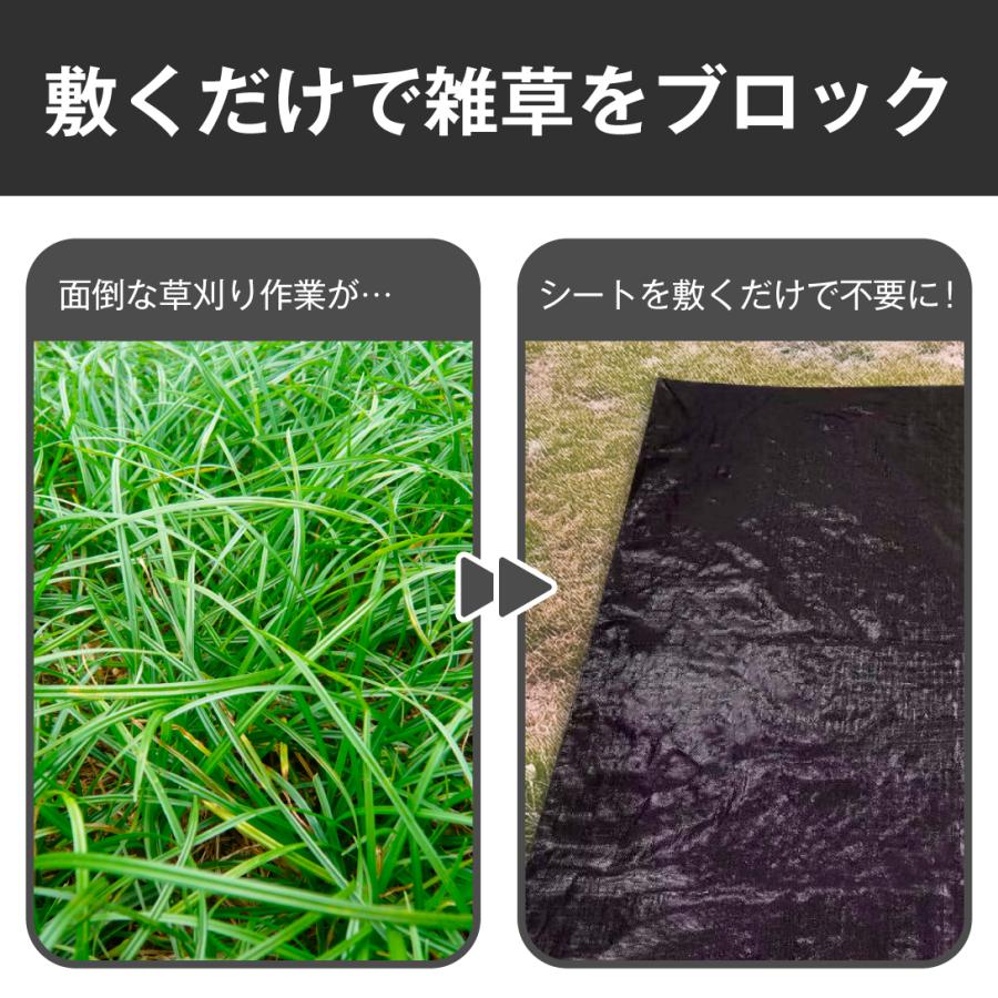 植え穴付防草シート1.2m×1.2m 3枚組 果樹 農園 植え穴付き 切れ目 UV剤