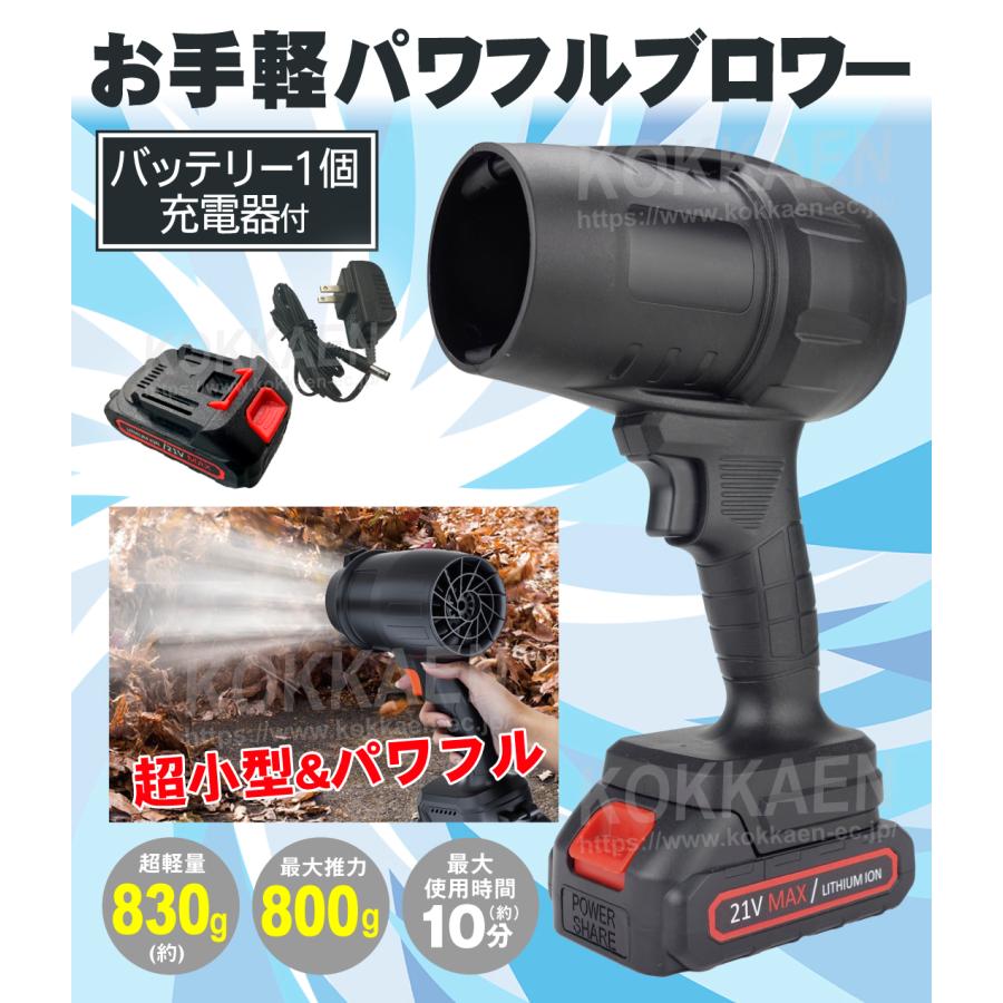 国華園 ブロワ ブロア 小型 軽量 お手軽 パワフル ブロワー 1個