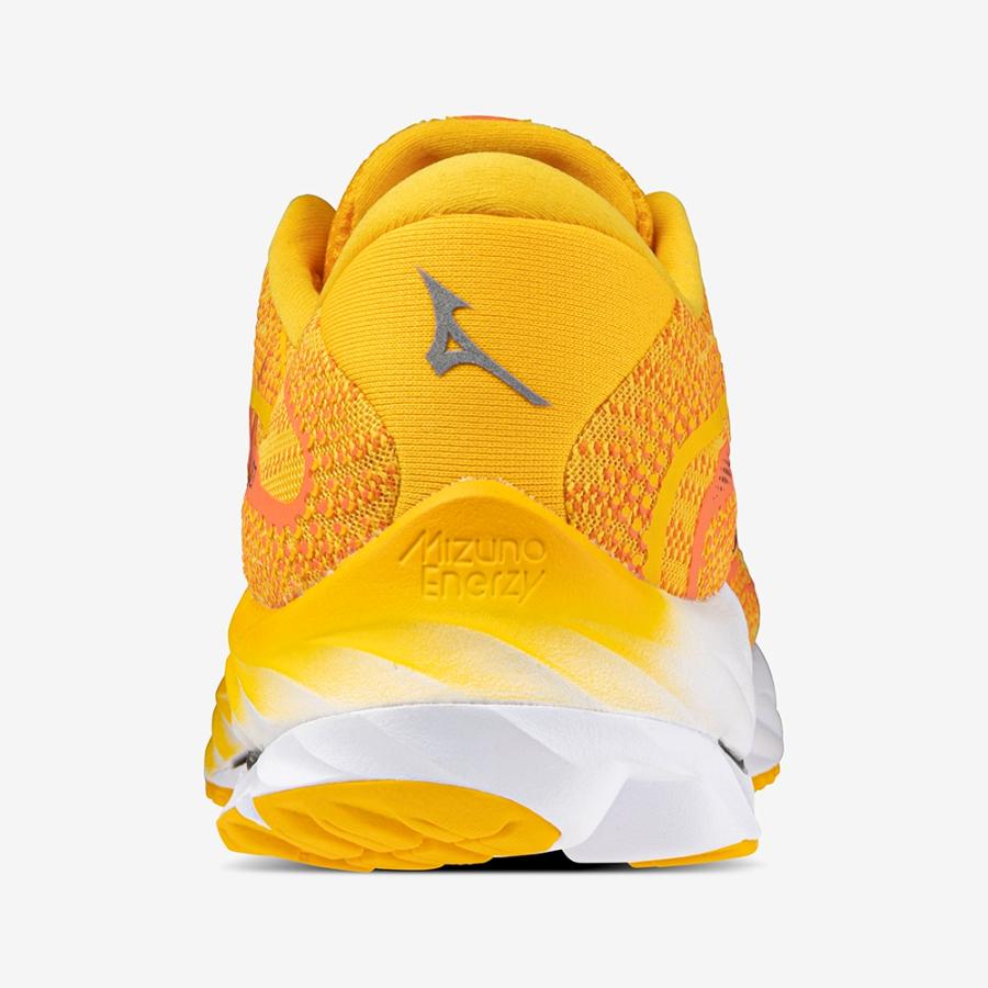 MIZUNO ミズノ MIZUNO/メンズ ランニングシューズ/ウエーブ MIZUNO ミズノ MIZUNO/メンズ ランニングシューズ/ウエーブ