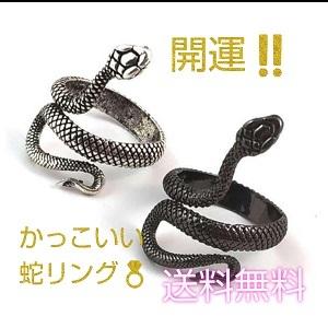 リング 指輪 蛇 スネーク スパイラル ヘビ 爬虫類 メンズ レディース 開運 Ring14 コッコショップyahoo 店 通販 Yahoo ショッピング