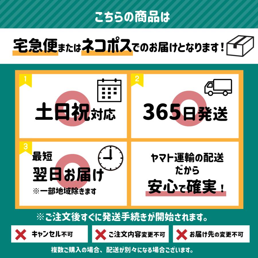 トップス レディース 春 重ね着 シースルー シアートップス メロウ チュールブラウス カットソー 着痩せ 長袖｜kokko2021｜17