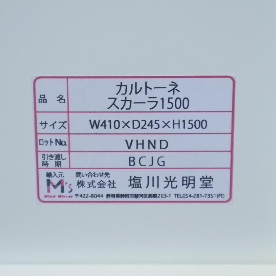 塩川光明堂 カルトーネスカーラ コレクションケース ガラス キュリオ