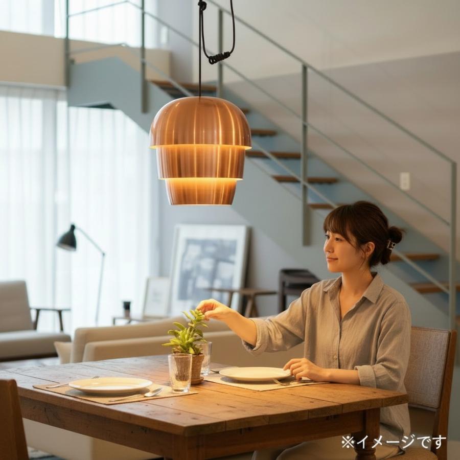 BoConcept（ボーコンセプト） Pine cone パインコーン カッパー