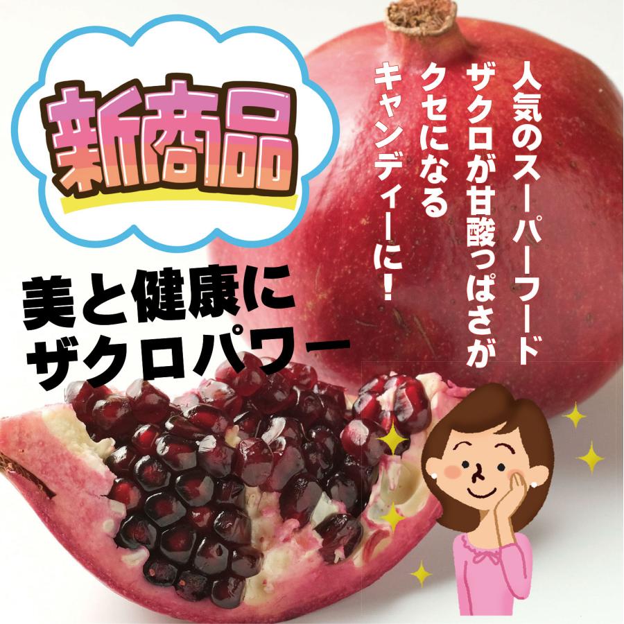 ザクロとともだち/ざくろ,更年期,妊活,高血圧,女性,飴,キャンディー,簡単,手軽,効果,効能,おすすめ,おススメ,ポリフェノール,健康 ザクロとともだち/ざくろ,更年期,妊活,高血圧,女性,飴,キャンディー,簡単,手軽,効果,効能,おすすめ,おススメ,ポリフェノール,健康