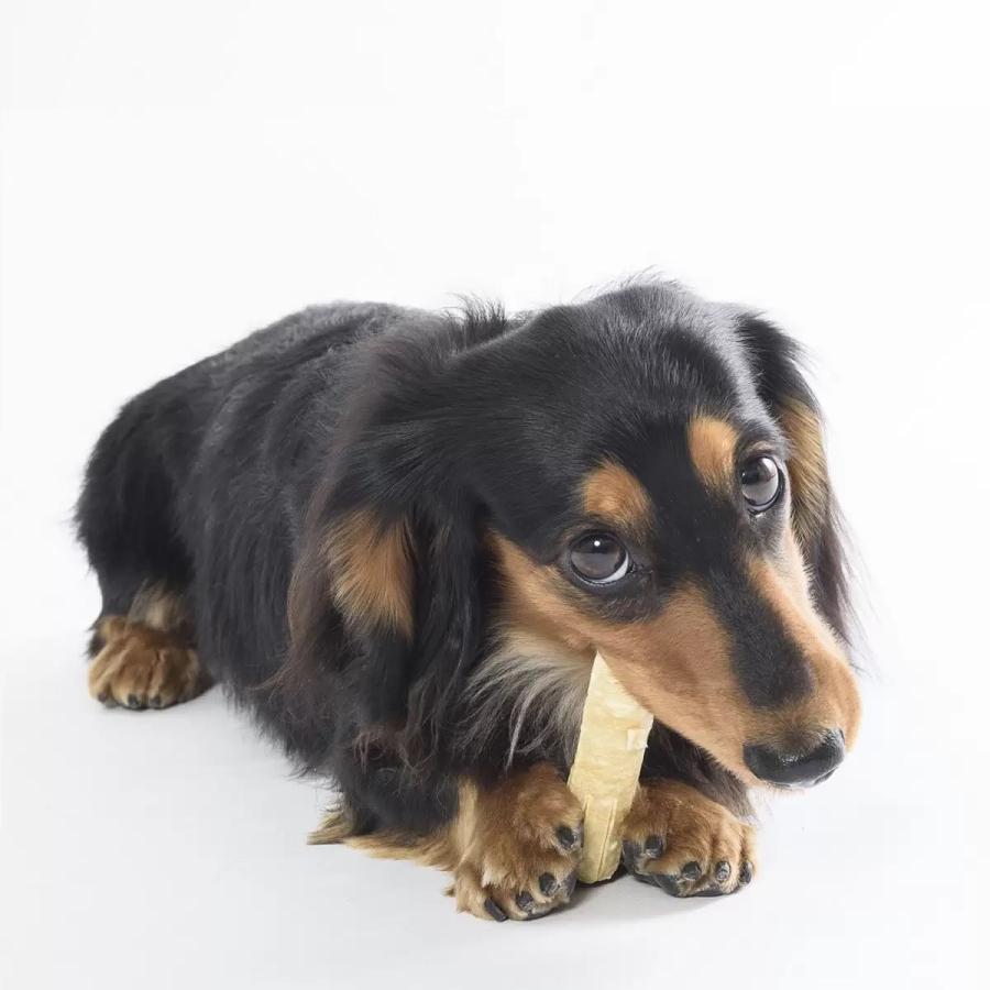 週末セール チューデント 20袋 チューデント 20袋