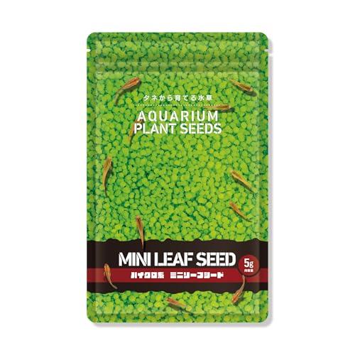 水草の種 MINI LEAF SEED〈ミニリーフシード〉5g リウム テラリウム 水草絨毯 熱帯魚（Yahoo!・ココモモーズ）