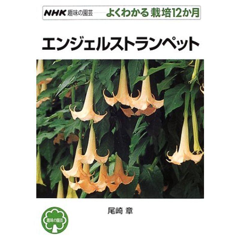エンジェルストランペット Nhk趣味の園芸 よくわかる栽培12か月 Kokonararu2号店 通販 Yahoo ショッピング