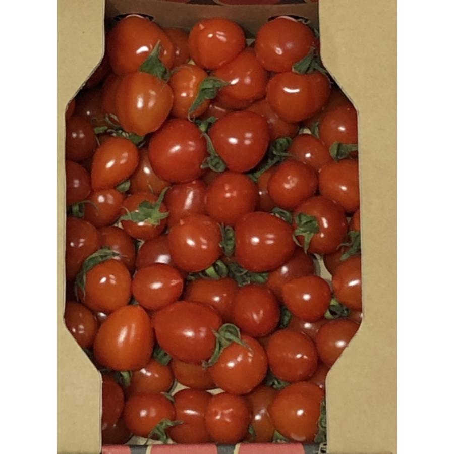 トマト フルーツミニトマト 心の実 ベリーミニ 800g 1箱 Kkmbm 001 前高兄弟農園 心の実 通販 Yahoo ショッピング