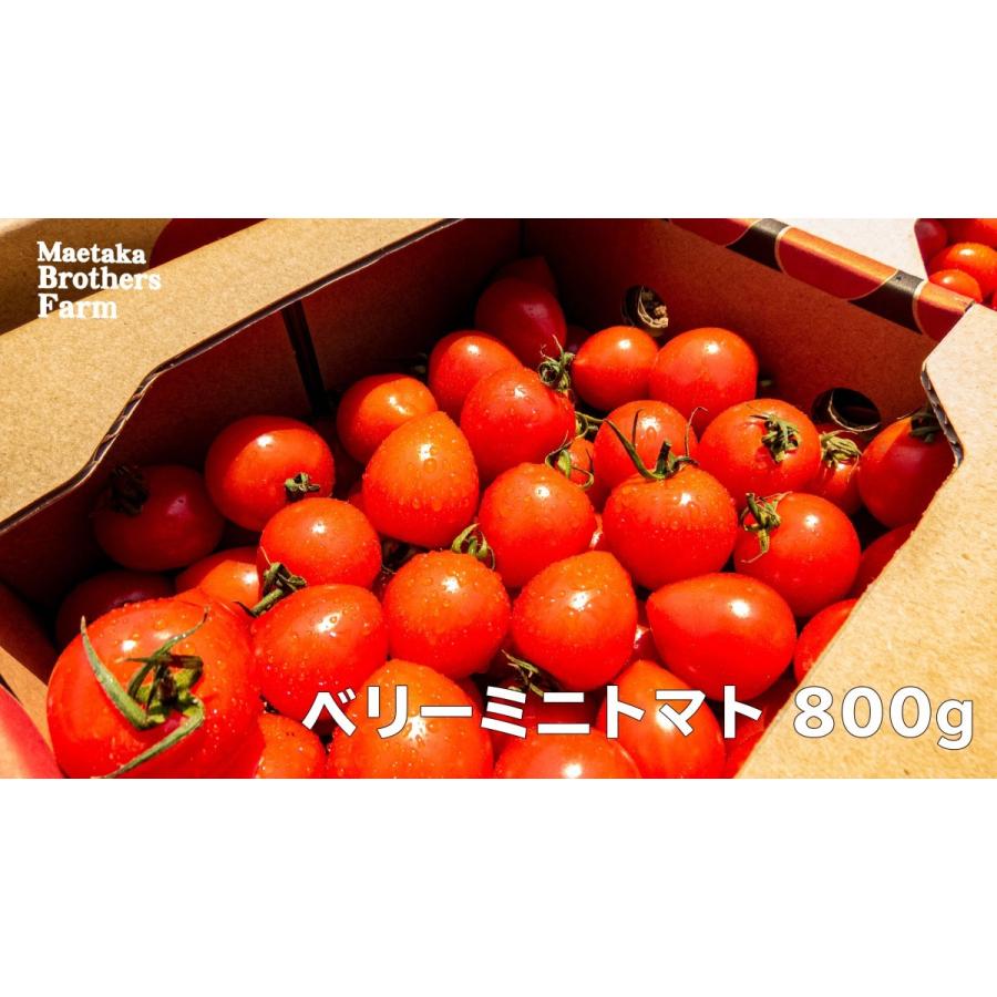 トマト　フルーツミニトマト　心の実　ベリーミニ　1.6kg（1箱）