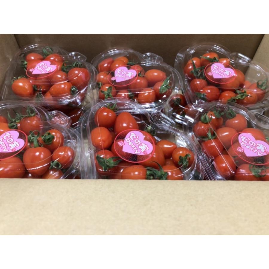 新作製品 【WEB限定】 世界最高品質人気 ”贈答用” フルーツミニトマト 心の実 ベリーミニ 150g 12パック 1箱 x