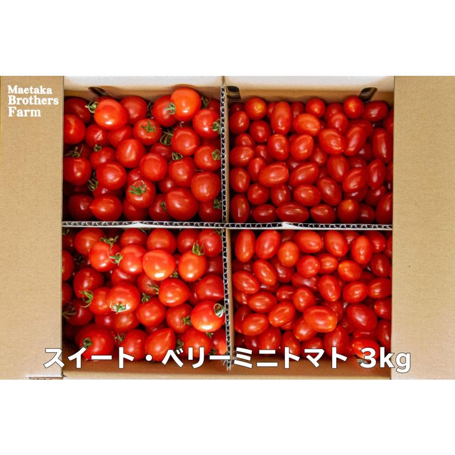トマト フルーツミニトマト 心の実 スイート ベリー 3 0kg 1箱 Kkmsb 002 前高兄弟農園 通販 Yahoo ショッピング