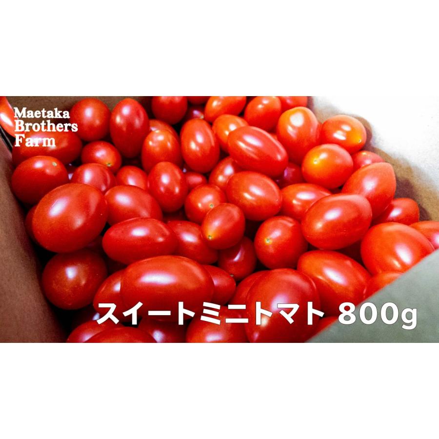 トマト フルーツミニトマト 心の実 スイートミニ 800g 1箱 Kkmsm 001 前高兄弟農園 心の実 通販 Yahoo ショッピング