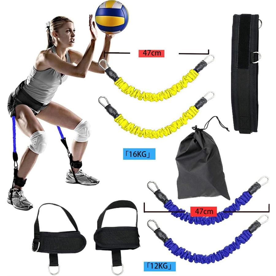 ジャンプトレーナー 全身トレーニング用【全荷重52kg】天然ゴム