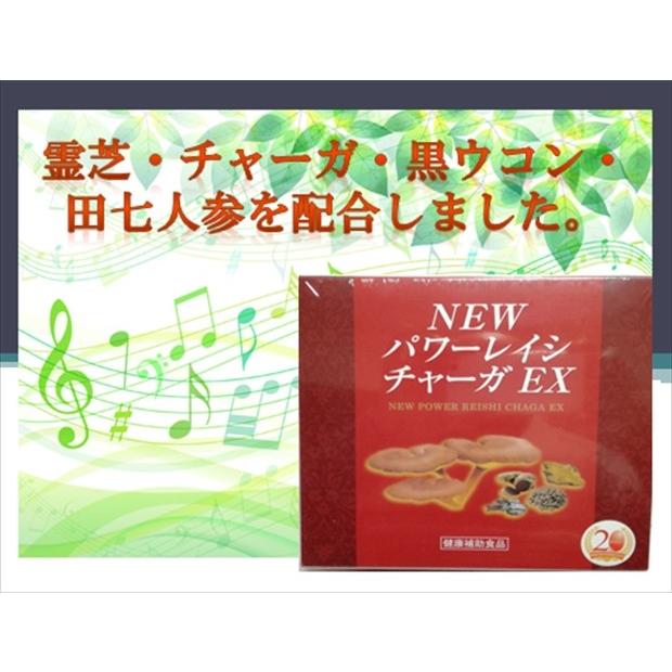 食品 NEW パワーレイシチャーガ EX 30g×3個