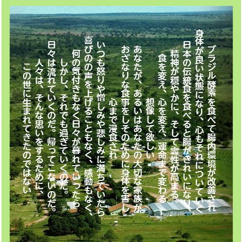 徳用です。酵素ダイエットサプリ・植物発酵食品ブラジル酵素エコシア