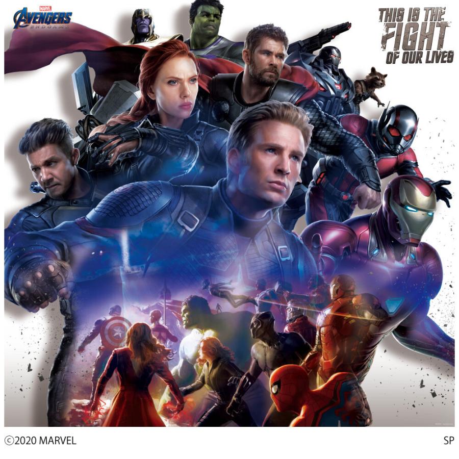 マーベル アベンジャーズ ウォールペーパー 6シートタイプ Aq5uvlnp8x Www Habitat21 Co Jp