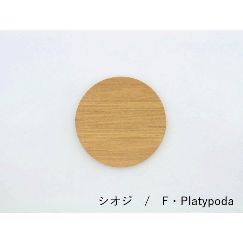 食洗器対応 GOLDCRAFT 中皿 NPD Round M ゴールドクラフト 日本製 木製