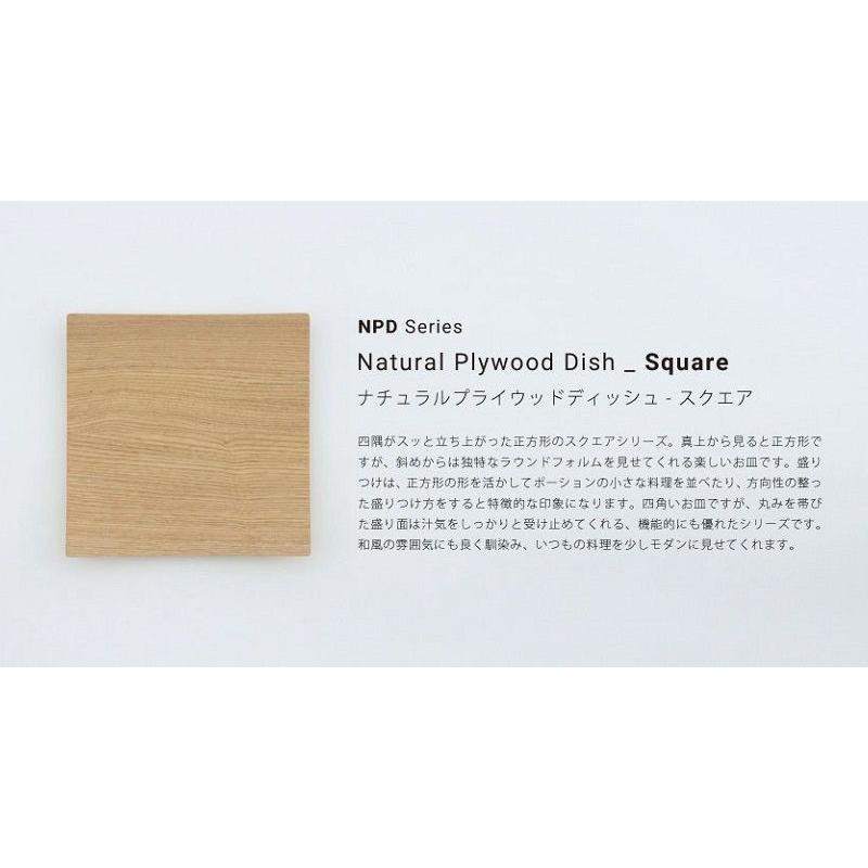 食洗器可能 GOLDCRAFT 中皿 NPD Square M ゴールドクラフト 日本 食洗器可能 GOLDCRAFT 中皿 NPD Square M ゴールドクラフト 日本