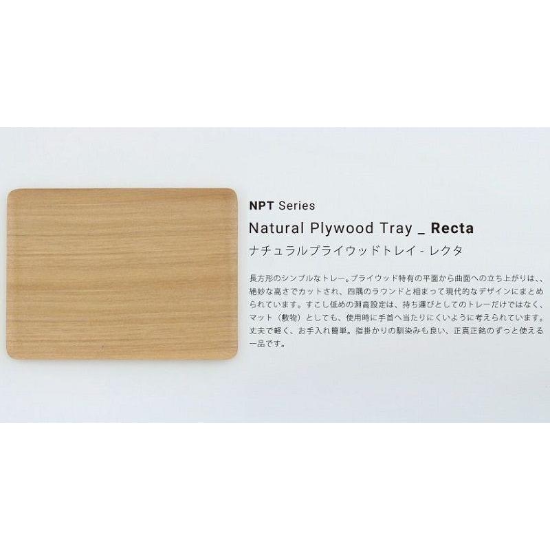 食洗器対応 GOLDCRAFT トレイ NPT Recta L ゴールドクラフト 日本製