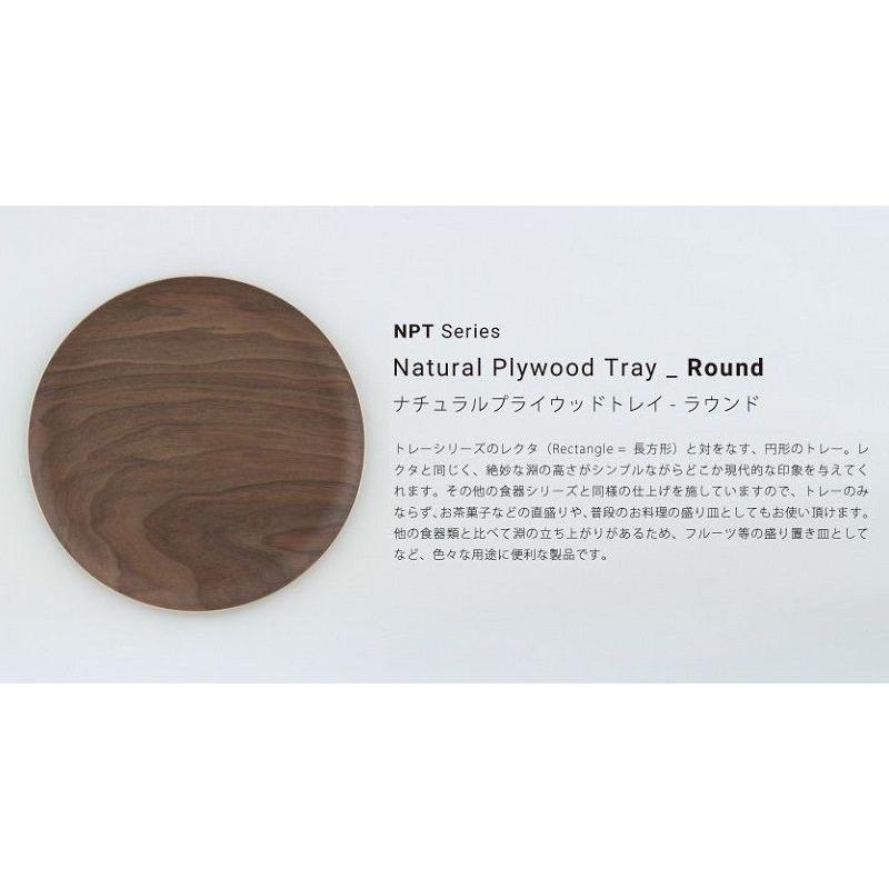 食洗器対応 GOLDCRAFT トレイ NPT Round L ゴールドクラフト 日本製