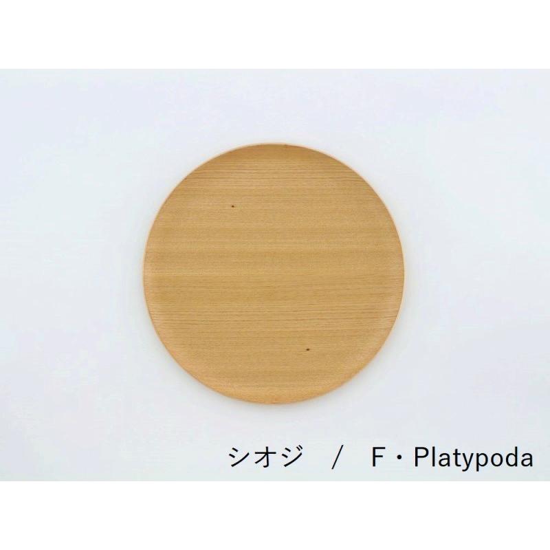 食洗器対応 GOLDCRAFT トレイ NPT Round L ゴールドクラフト 日本製