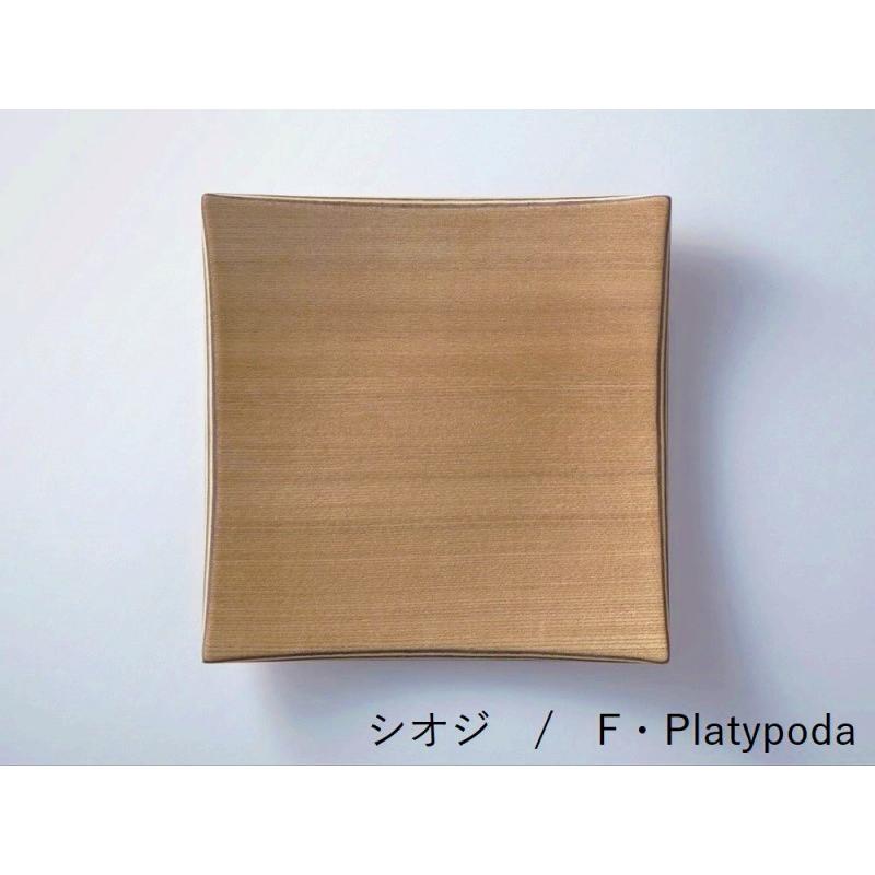 goldcraft マロン 木製オーバル型皿 4枚セット 食洗器で洗える GOLDCRAFT 角皿 shima (シマシマ) スクエア L 日本製