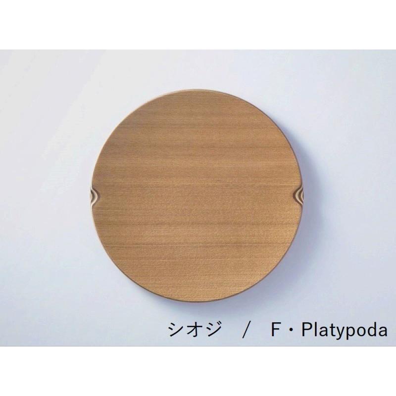 食洗器対応 GOLDCRAFT 丸皿 プライウッド shima (シマシマ) ラウンド L