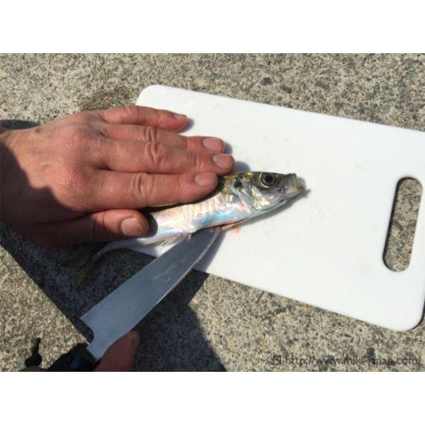 万能ナイフ 片刃式 ラクーン 120mm TS184の画像
