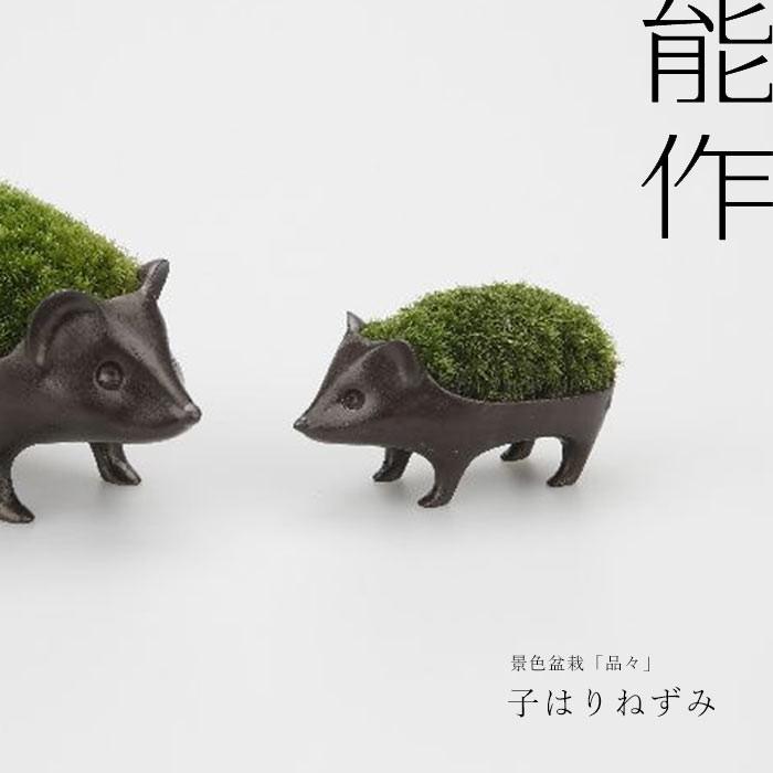 能作 景色盆栽 苔盆栽 子はりねずみ 苔盆栽 子はりねずみ 能作 ＆ 景色盆栽品品 小林健二 ハリネズミ