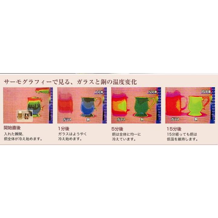 金胎漆器 タンブラー 大 根来 500ml 銅 新光金属 タンブラー 朱漆 銅製品 漆器 コップ 大きい カップ 敬老の日 結婚祝い 記念品 喜寿 退職祝い 古希 送別 贈り物の画像