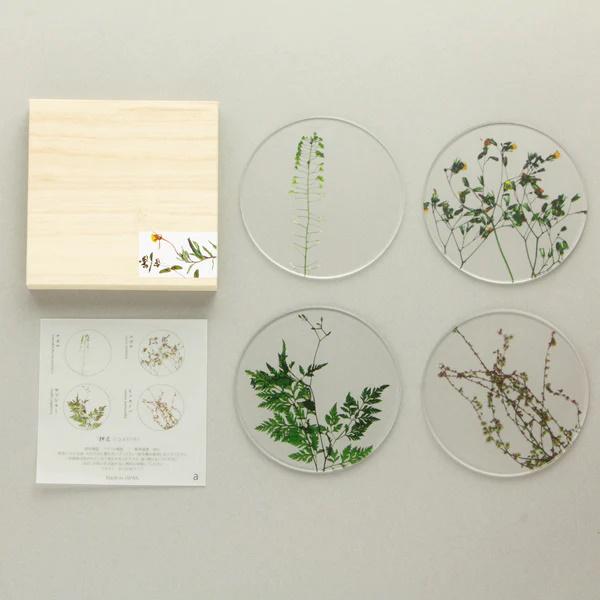 押し花 coaster 木箱入り4枚セット toumei リアル押し花 コースター 