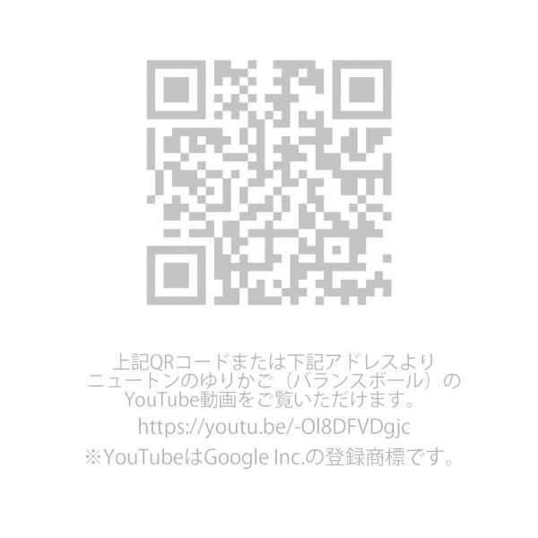 ニュートンのゆりかご バランスボール ボール数5個 インテリア 雑貨