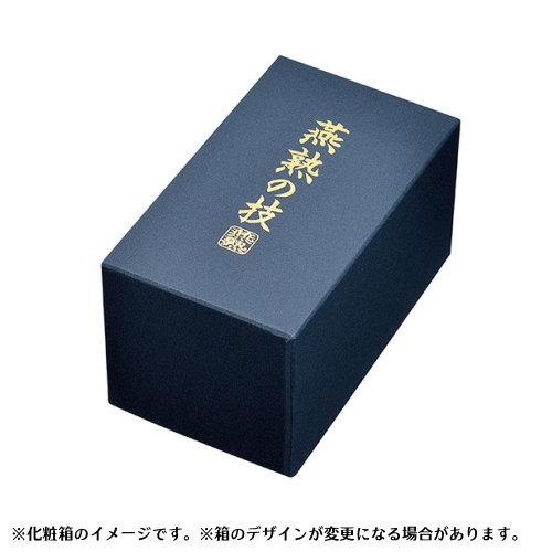 燕三条 タンブラー 2重構造 日本製 燕熟の技 チタン 二重 240ml 