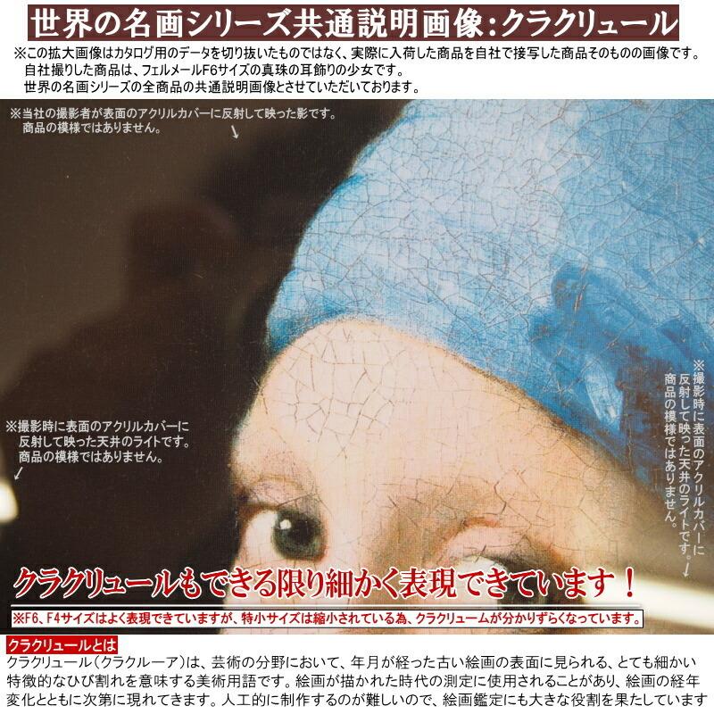 絵画 額入り 壁掛け F6 ヨハネス フェルメール 複製画 額飾り 1枚 世界