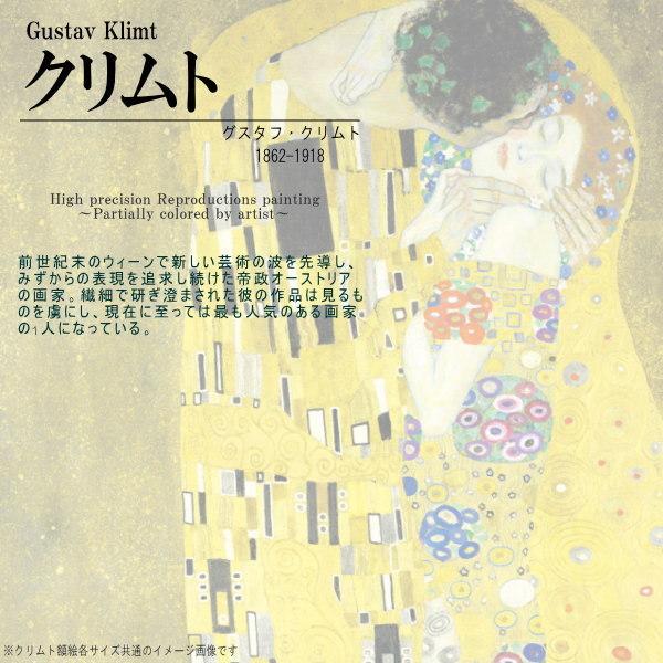 絵画 額入り 壁掛け F6 グスタフ クリムト 複製画 額飾り 1枚 絵画 額入り 壁掛け F6 グスタフ クリムト 複製画 額飾り 1枚