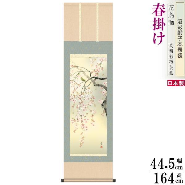 ブランド登録なし - 掛け軸 花鳥画 春掛け 森山観月 桜花 洛彩緞子本表装 尺3×1個 日本製 貨物輸送無料 名曲書きうつす 掛軸 春飾りつけ 日本画 和風 雅びやか 桜の絵 桜の花 春らしい 上演 美術、工芸品-楽器、手芸、コレクション-掛け軸