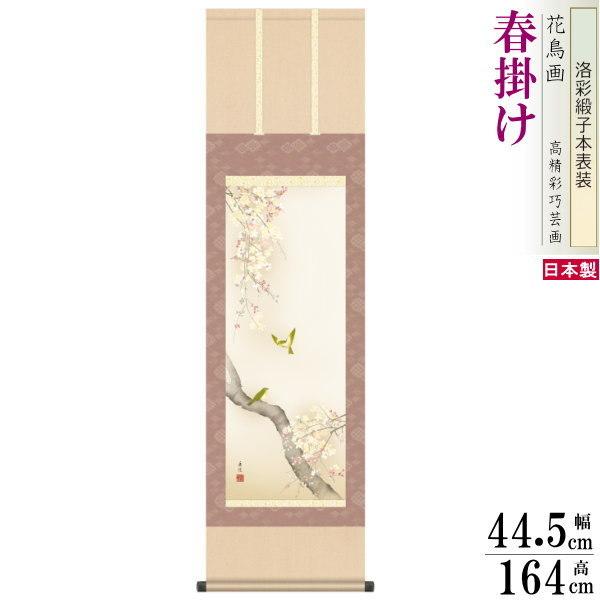 掛け軸 花鳥画 春掛け 西尾香悦 桜花に小鳥 洛彩緞子本表装 尺3×1個 日本製 送料無料 名画複製 掛軸 春飾り 床の間飾り 飾り物 お祝い 贈り物 ギフト