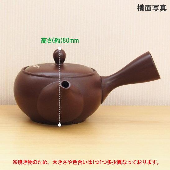 常滑焼 急須 日本製 常滑焼き 茶泥 萩急須 容量350cc さわやか網付き
