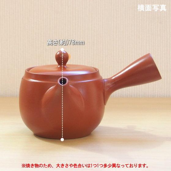 常滑急須 日本製 急須 常滑 朱泥 つぼ丸型松彫 容量420cc ポイポイ網