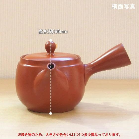 常滑急須 日本製 急須 常滑 朱泥 つぼ丸型松彫 容量420cc ポイポイ網