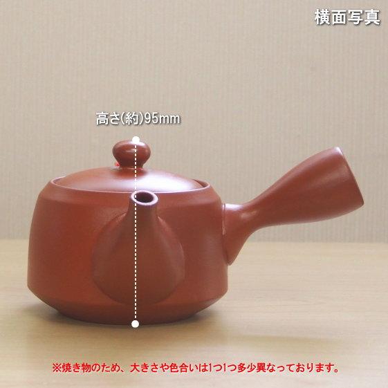 常滑急須 日本製 急須 常滑 朱泥 平釜 容量350cc ポイポイ網付き 業務