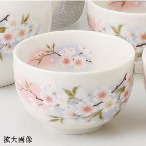 急須 セット 淡墨桜 茶器揃え 5客 網付き 日本製 美濃焼 陶器 お茶用品