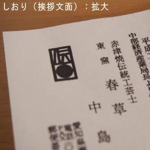 湯呑み 春草作 紅志野湯呑み 木箱入 東窯 瀬戸焼 赤津焼 日本製 和食器