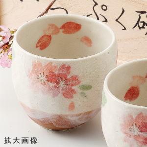 湯呑み ペア 春うららいっぷく碗 木箱入り 美濃焼 日本製 陶器 和食器