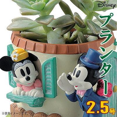 プランター 2.5号 小さい 植木鉢 窓辺 ミニーマウス&ミッキー プランター 2.5号 小さい 植木鉢 窓辺 ミニーマウス&ミッキー