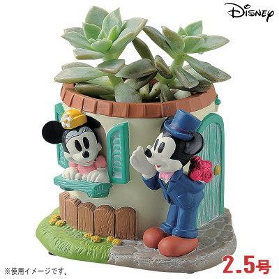 プランター 2.5号 小さい 植木鉢 窓辺 ミニーマウス&ミッキー プランター 2.5号 小さい 植木鉢 窓辺 ミニーマウス&ミッキー