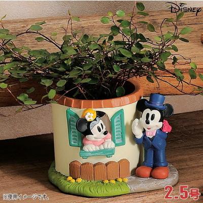 プランター 2.5号 小さい 植木鉢 窓辺 ミニーマウス&ミッキー プランター 2.5号 小さい 植木鉢 窓辺 ミニーマウス&ミッキー