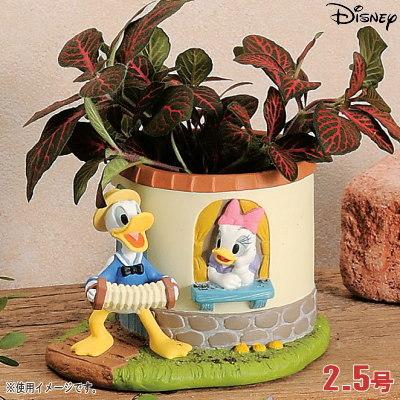 プランター 2.5号 小さい 植木鉢 窓辺 ドナルドダック&デイジー プランター 2.5号 小さい 植木鉢 窓辺 ドナルドダック&デイジー