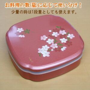 本塗二段二枚蓋重 Amazon.co.jp: 輪島塗 重箱二段重二揃い 能登輪島製 布着本堅地